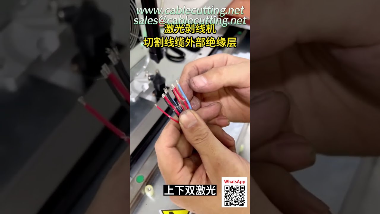 CO2 Dual Head Laser Stripper  ±0 1mm Precision for Damage Free Stripping