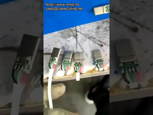 Bevel Cutting Machine